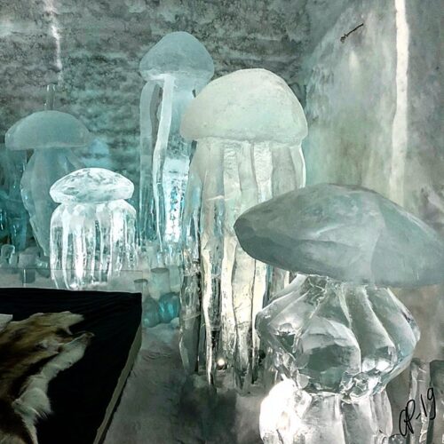 IceHotel номер с медузами