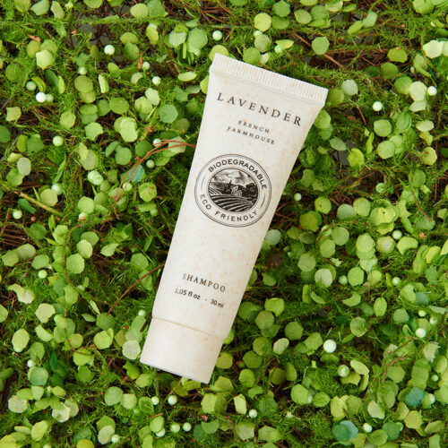shampoo-levander